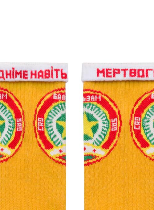 Кольорові шкарпетки Ded Noskar Бальзам Зірочка